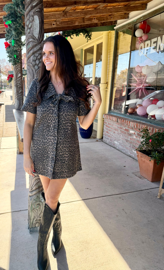 Leopard Denim Dress